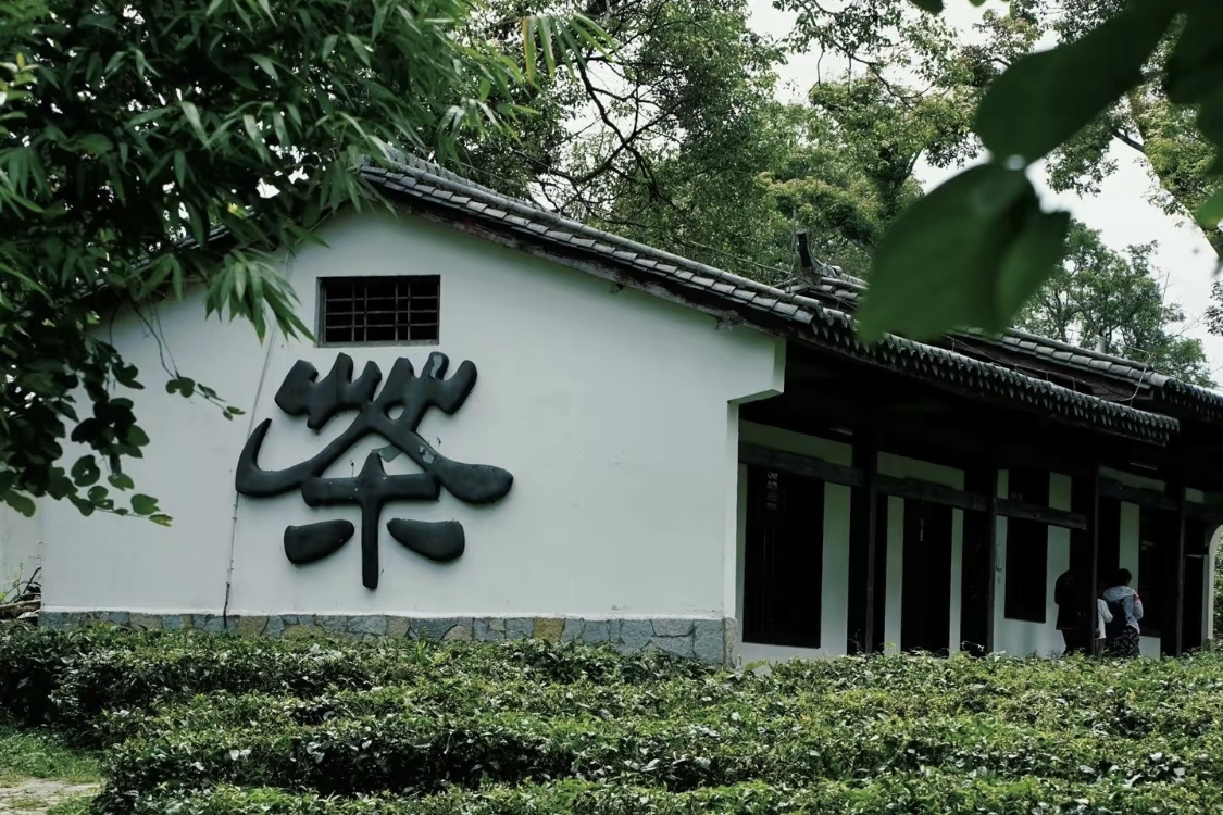 China Pu'er Tea Expo Garden
